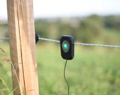 AKO Pulse Flash
