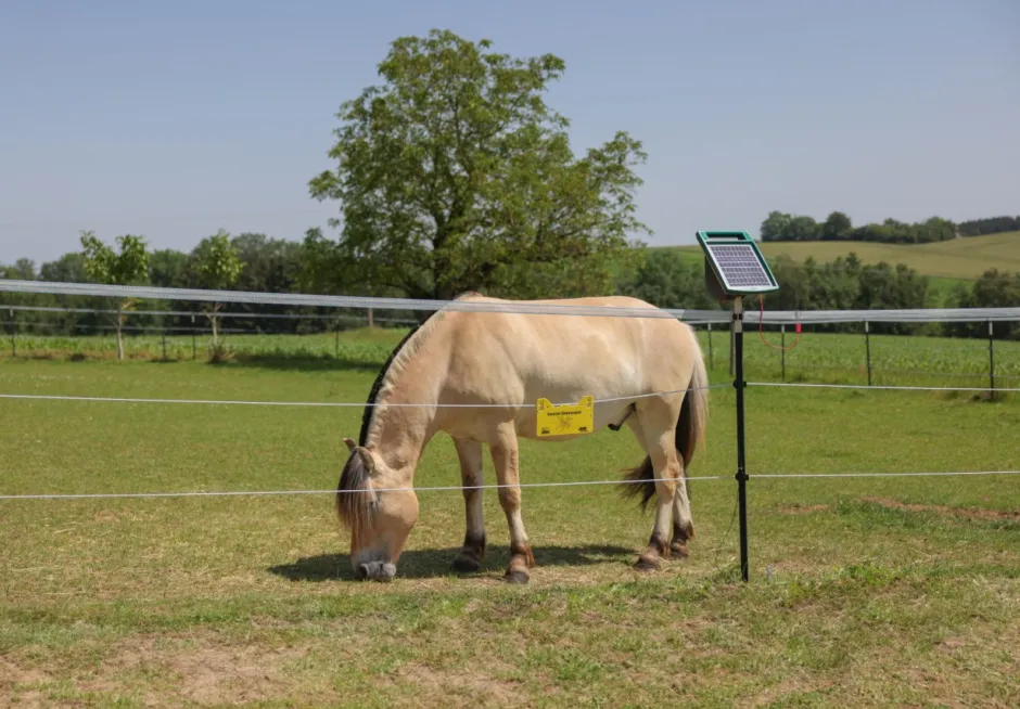 AKO Weidezaunband PlatinumLine