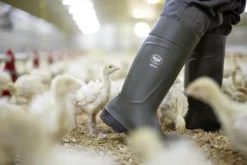 Bekina Sicherheitsstiefel S5 Agrilite®