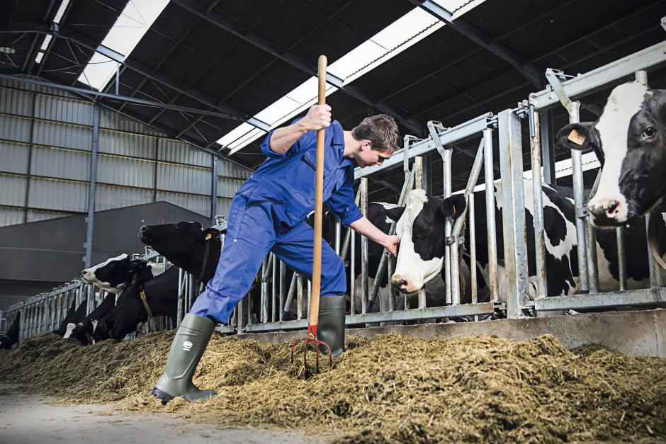 Bekina Sicherheitsstiefel S5 Agrilite®