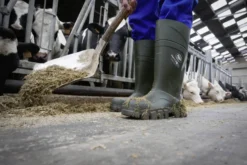 Bekina Sicherheitsstiefel S5 Steplite® Thermoprotec