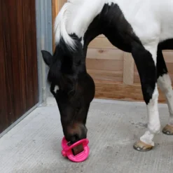 BIZZY HORSE Ball