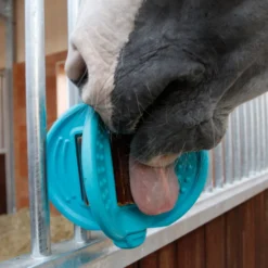 BIZZY HORSE Ball