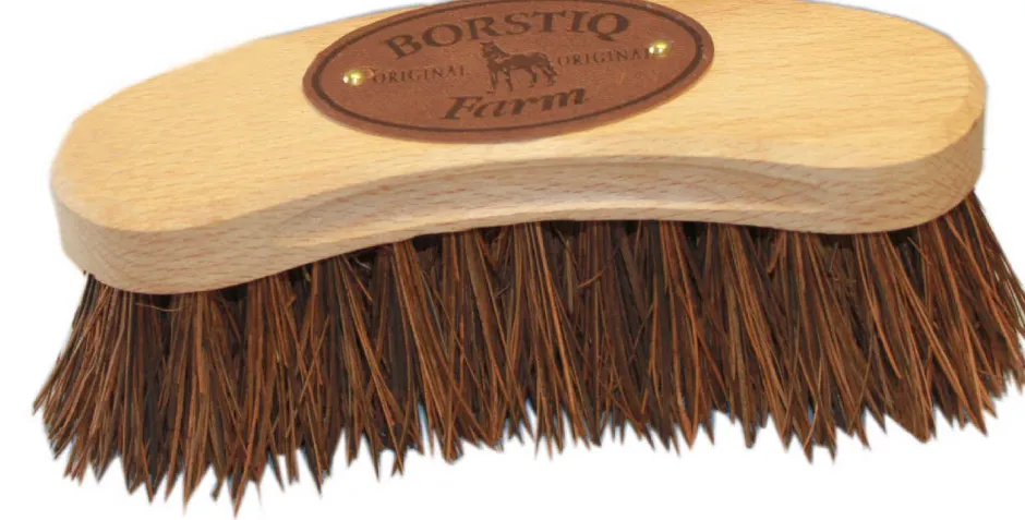 BORSTIQ Banane Bassine Wurzelbürste Naturborsten