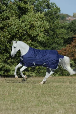 BUCAS Pferdedecke Freedom Turnout Light