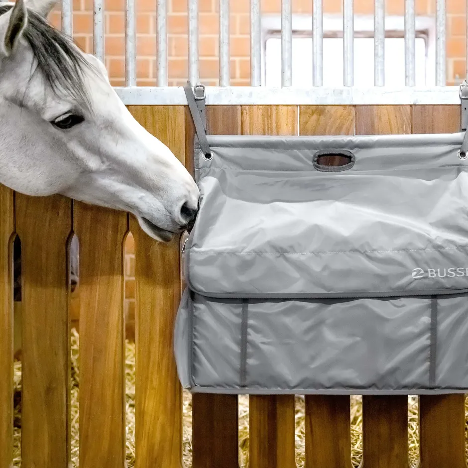 BUSSE Boxentasche RIO