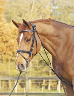 BUSSE Chambon BASIC, Vollblut/Warmblut, schwarz/silber