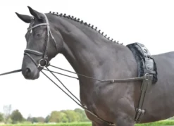 BUSSE Dreieckszügel BASIC-KORDEL