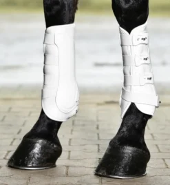 BUSSE Gamaschen DRESSAGE-PRO