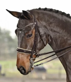 BUSSE Kandare LUXURY