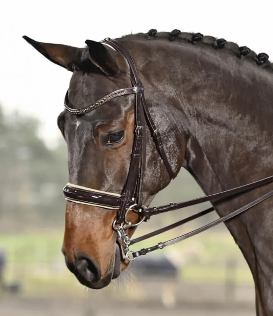 BUSSE Kandare LUXURY
