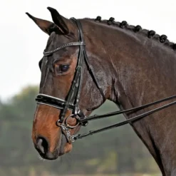 BUSSE Kandare LUXURY
