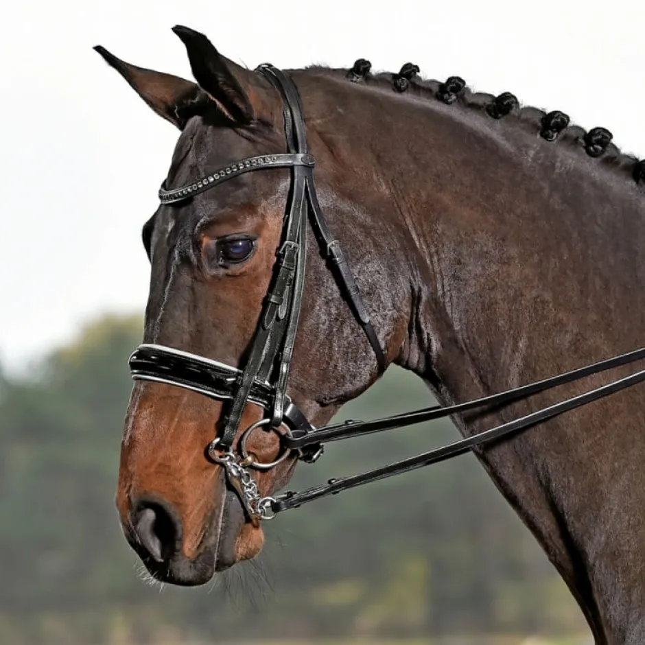 BUSSE Kandare LUXURY