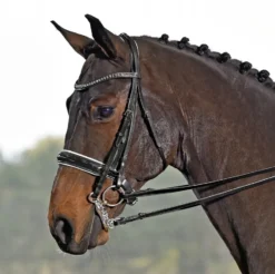 BUSSE Kandare LUXURY