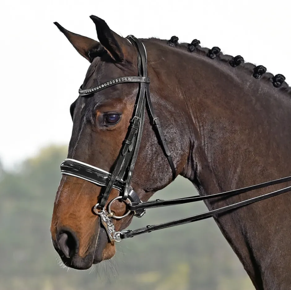 BUSSE Kandare LUXURY