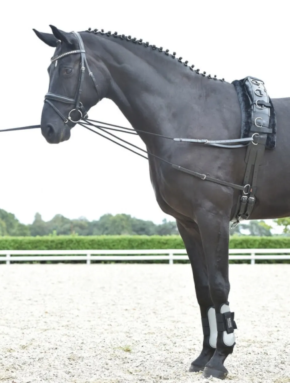 BUSSE Laufferzügel BASIC-KORDEL