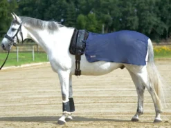 BUSSE Longierdecke FLY