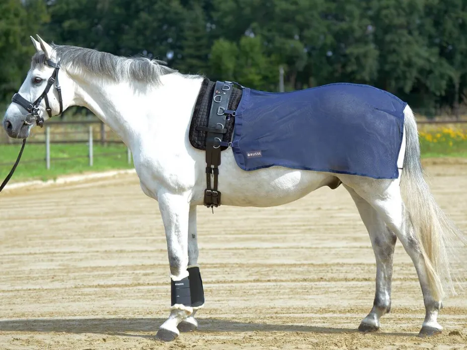 BUSSE Longierdecke FLY