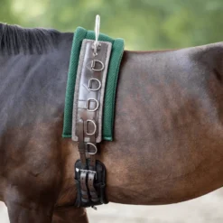 BUSSE Longiergurt FLEX FIT