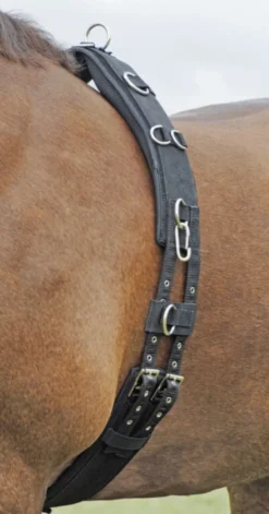 BUSSE Longiergurt PROFI-SOFT