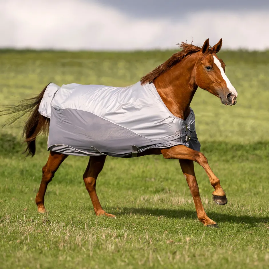 BUSSE Regen- und Fliegendecke RAINFLY