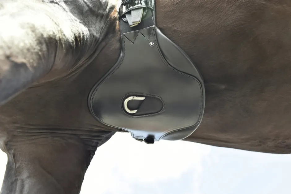 BUSSE Sattelgurt LAURENZA-DRESSUR, elastisch