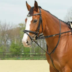 BUSSE Thiedemann-Kombination BASIC