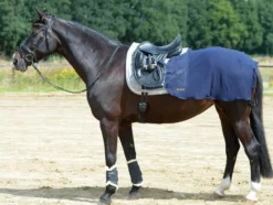 BUSSE Trainingsdecke FLY