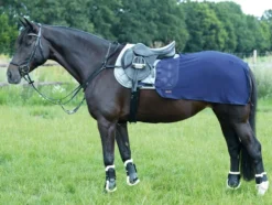 BUSSE Trainingsdecke FLY