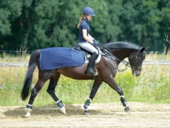 BUSSE Trainingsdecke FLY