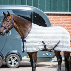 BUSSE Transport-Fliegendecke STRIPE
