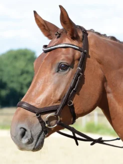 BUSSE Trense EMOTION