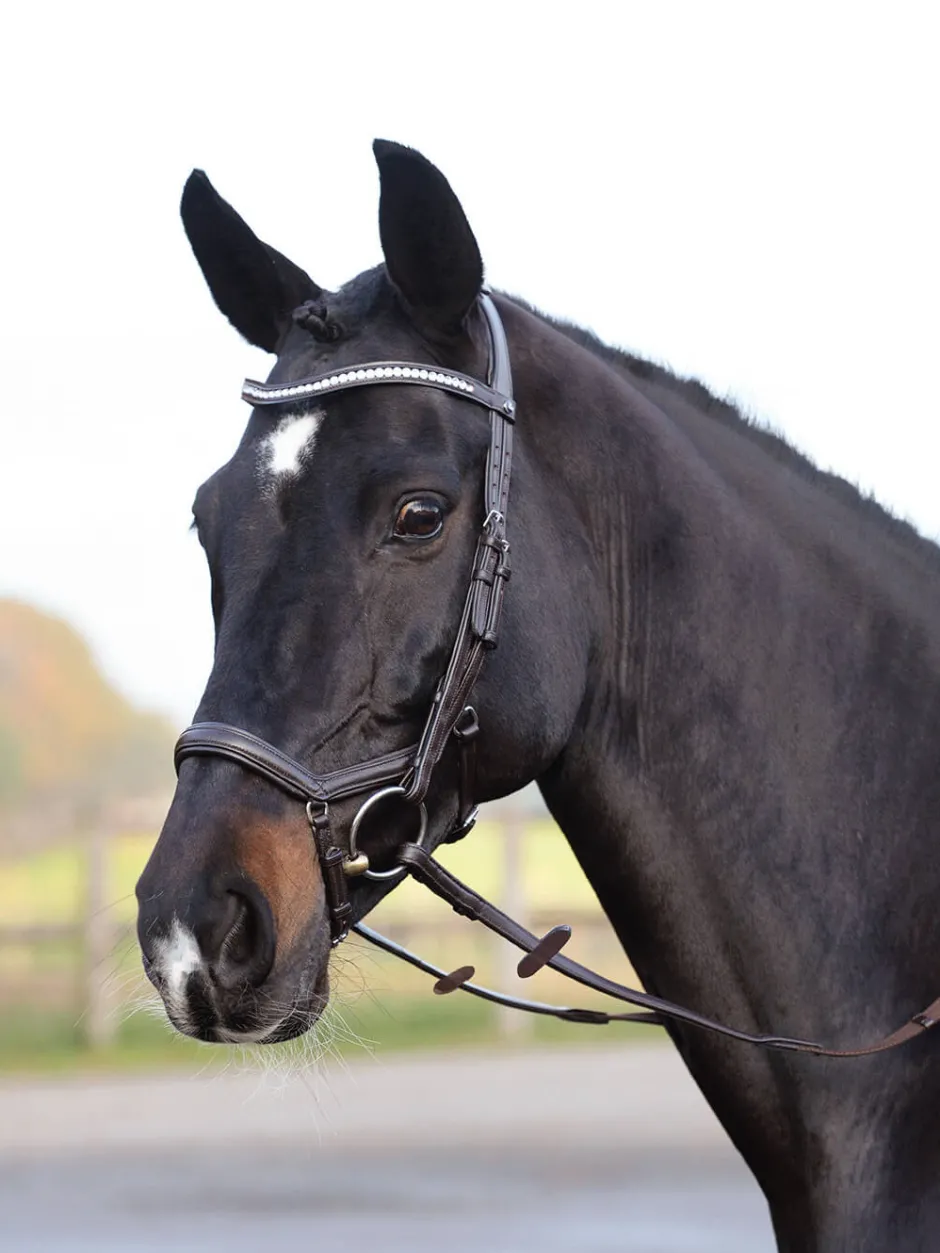 BUSSE Trense EMOTION