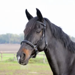 BUSSE Wanderreittrense SOLIBEL
