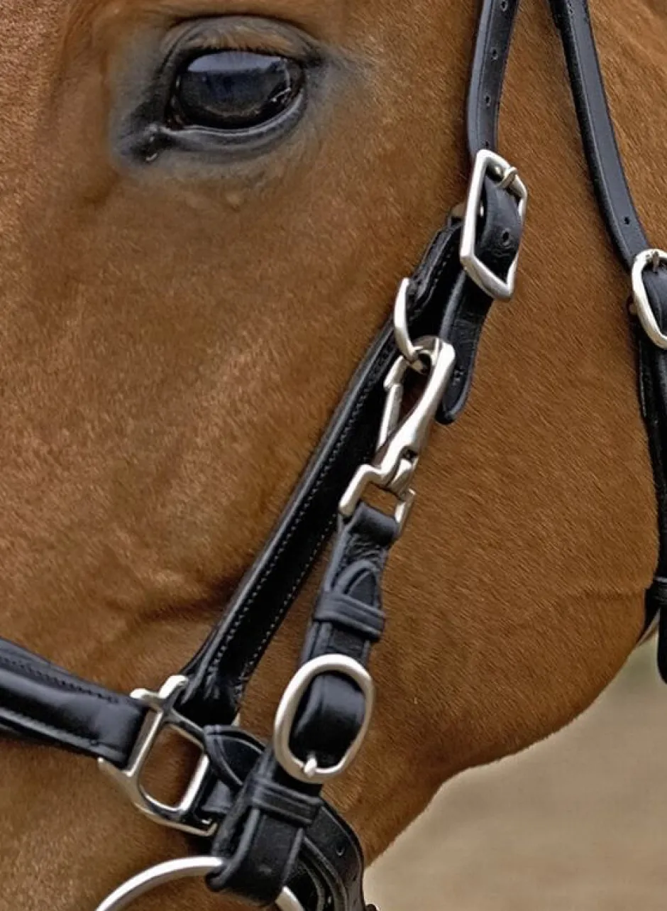 BUSSE Wanderreittrense SOLIBEL