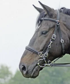 BUSSE Wanderreittrense SOLIBEL