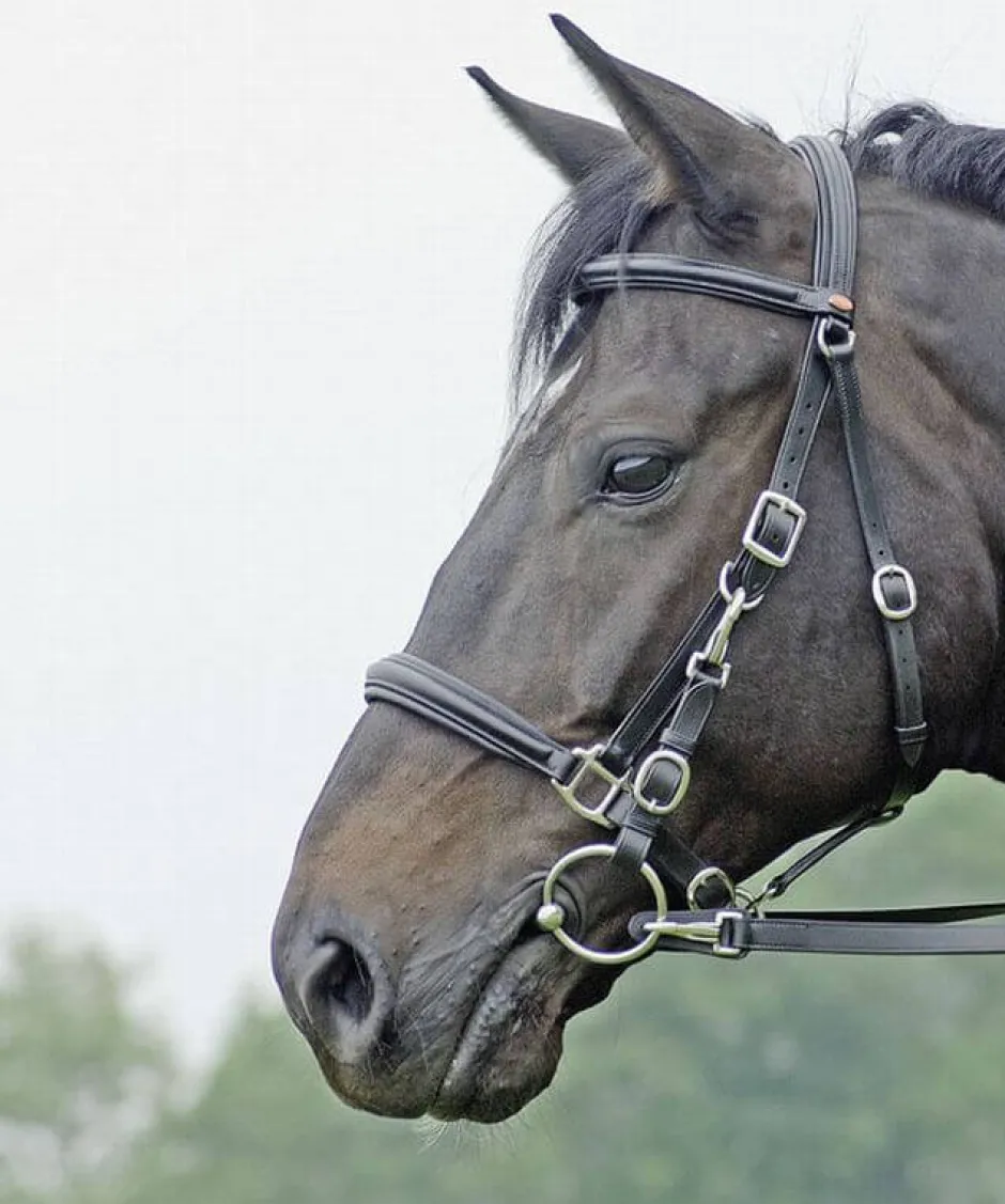 BUSSE Wanderreittrense SOLIBEL