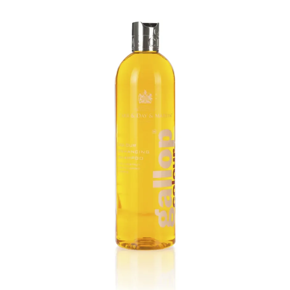 CARR & DAY & MARTIN Shampoo Gallop® für Füchse und Palominos