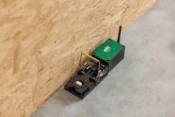 cit ratStop Smart