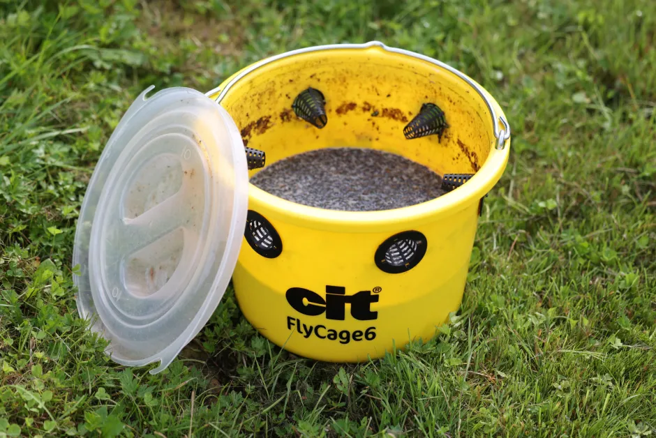 cit Fliegenfalle FlyCage6