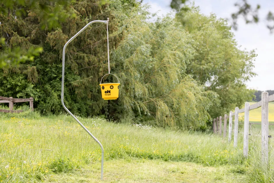 cit Fliegenfalle FlyCage6