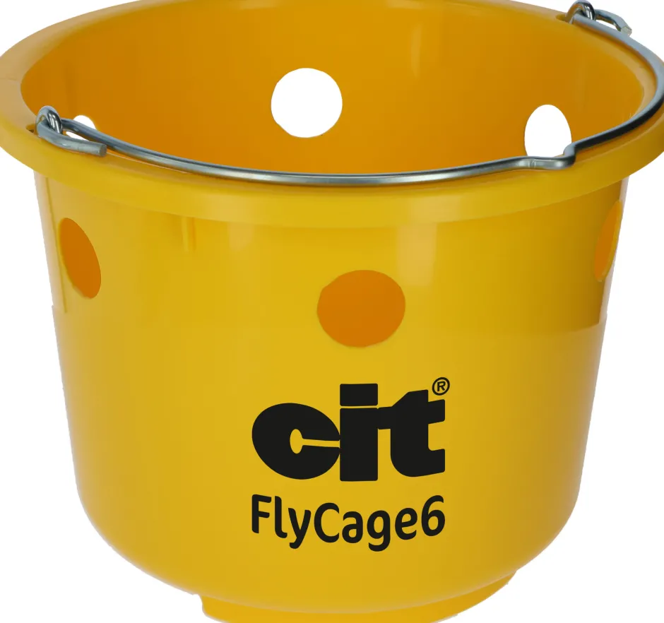 cit Fliegenfalle mit 6 Löchern