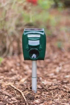 cit Ultraschall-Tiervertreiber SonicFlash