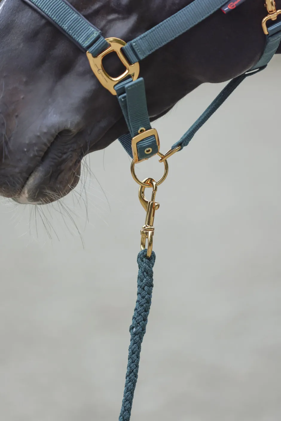 COVALLIERO Führstrick TopLine