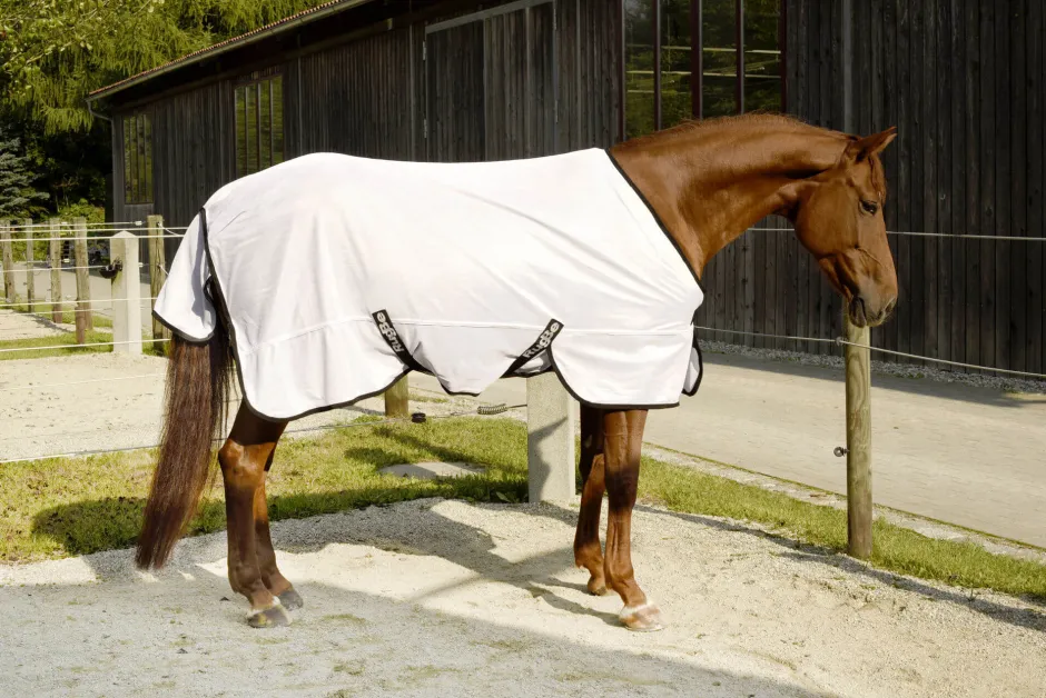 COVALLIERO Fliegendecke RugBe SuperFly