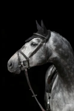 COVALLIERO Fliegenhaube Empara