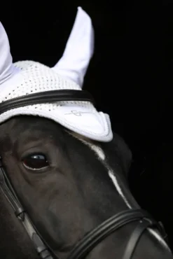 COVALLIERO Fliegenhaube Empara