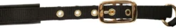 COVALLIERO Fohlenhalfter TopLine