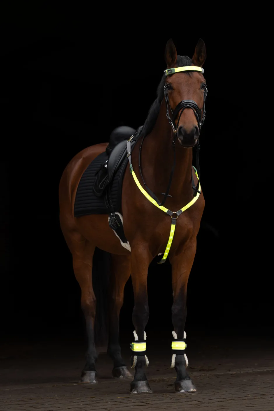 COVALLIERO Leuchtgamasche LED