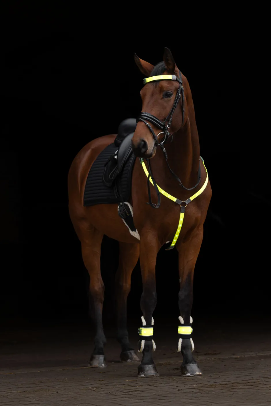 COVALLIERO Leuchtgamasche LED